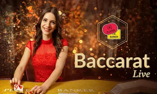 Daily cashback and rewards promotion